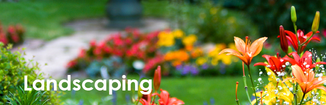 Landscaping Services in York, PA
