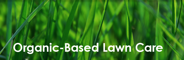 Organic Based Lawn Care in York, PA