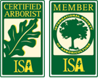 ISA